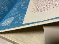 大どろぼうのでかでかおたんじょうかい　大どろぼうのクッキング３