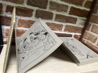 浮世絵名品聚芳 13 武内桂舟 初ざくら