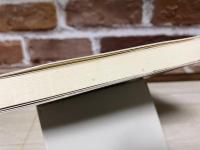 「試し書き」から見えた世界