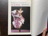 フラメンコ女　大地に立つ