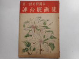 第一回美術団体　連合展画集