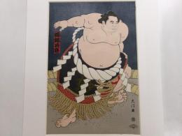 木版画　横砂栃錦　一枚　４６×２７センチ