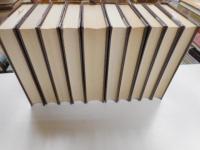 ドストエフスキー全集　全20巻・別巻　計21冊