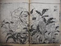 画本野山草　巻一〜巻五　合本　１０５丁