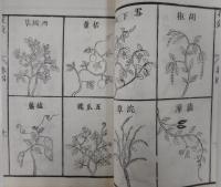 秘伝花鏡　全六巻全五册
