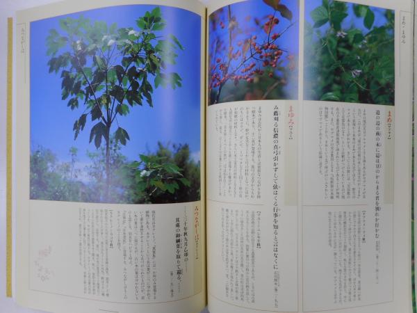 万葉植物事典 普及版(大貫 茂) / 古本、中古本、古書籍の通販は「日本
