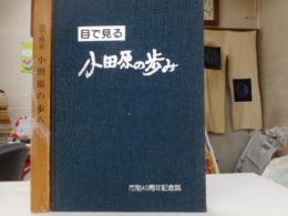 目で見る小田原の歩み