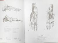 ANATOMY DRAWING SCHOOL