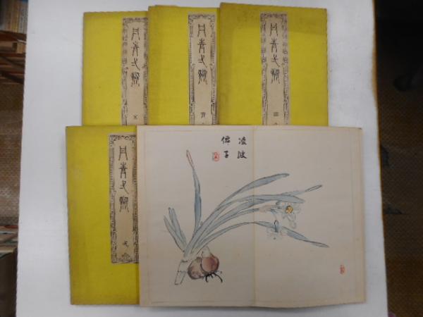 自己の治癒(ハインツ・コフート) / 光書房 / 古本、中古本、古