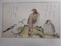 百千鳥　限定400部の内151番