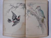 花鳥画粋　完