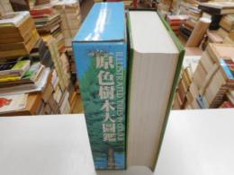 原色樹木大図鑑