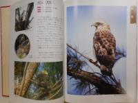 原色版沖縄文化財百科　全４冊