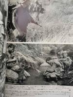 ザ レザーネックス イン ベトナム ＜戦車マガジン　3月号別冊＞