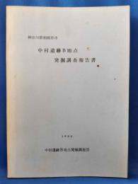 中村遺跡B地点発掘調査報告書（神奈川県相模原市）(37頁)