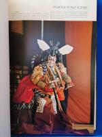 【英字】KABUKI (歌舞伎)　by MASAKATSU GUNJI