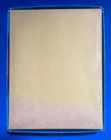 少年忍者部隊 月光　<こいでのかるた> カード未使用・帯付き　