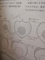 ばらの花＜アートフラワー＞