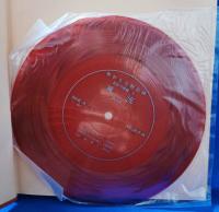 無形文化財記録　芸能編4　「民俗芸能」　＜風流　西日本＞