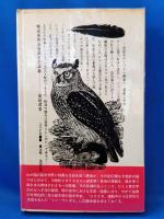 椿説泰西浪漫派文学談義