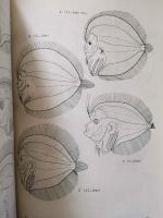 （英書）STUDIES ON THE OCEANIC ICHTHYOPLANKTON IN THE WESTERN NORTH PACIFIC