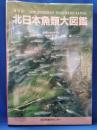 普及版　北日本魚類大図鑑