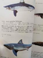 普及版　北日本魚類大図鑑