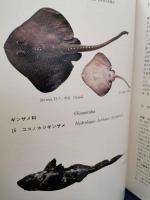 東北海域・北海道オホーツク海域の魚類