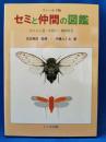 セミと仲間の図鑑 : カメムシ目頸吻亜目