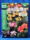 ワイド図鑑　里山・山地の身近な山野草―季節ごとの姿・形・色がこれ一冊でわかる画期的な図鑑 (主婦の友新実用ＢＯＯＫＳ)