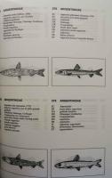 （英書）Multilingual Dictionary of Aquatic Animals and Plants