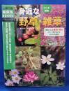 ワイド図鑑 身近な野草・雑草―季節ごとの姿・形・色がこれ一冊でわかる画期的な図鑑 (主婦の友新実用BOOKS)