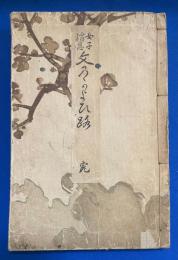 女子消息文のかよひ路　　