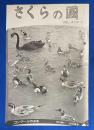 さくらの國 　1936年 Vol.4 No.7　第四巻第七号 〈コンクール作品号/やさしい寫眞のコンクール結果・入選者氏名、ほか〉