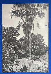 さくらの國 　1934年 No.12 第二巻第十二號　〈第拾弐回さくらの國懸賞當選印画/豫算のもとに始める寫眞/新製品改良さくら引伸器の出現、ほか〉