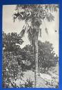 さくらの國 　1934年 No.12 第二巻第十二號　〈第拾弐回さくらの國懸賞當選印画/豫算のもとに始める寫眞/新製品改良さくら引伸器の出現、ほか〉