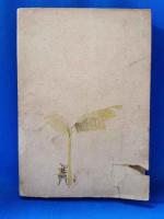 南海の志士　南進秘話小説集