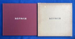加倉井和夫展 〈わたしのエーゲ海〉