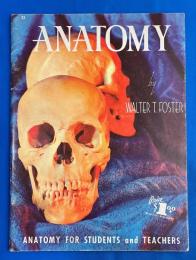 英書　Anatomy (Walter T. Foster Art Serials, 21)