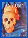 英書　Anatomy (Walter T. Foster Art Serials, 21)