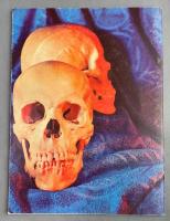 英書　Anatomy (Walter T. Foster Art Serials, 21)
