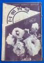 週刊朝日 昭和5年5月18日号　第17巻第22號　<日本一の健康児/極東選手権大会、ほか>