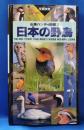 【山渓ハンディ図鑑 7 】 日本の野鳥