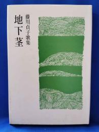 地下茎　藤川貞子歌集
