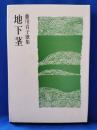地下茎　藤川貞子歌集