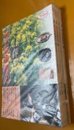 決定版　茶の湯歳事記　(春・夏・秋・冬)　4冊　<淡交ムック>