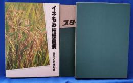イネもみ枯細菌病 : 発生と防除対策