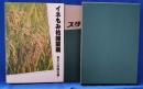 イネもみ枯細菌病 : 発生と防除対策