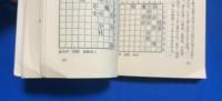 将棋終盤の魔術 : やさしく教える大逆転のテクニック