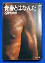 青春とはなんだ 〈角川文庫〉